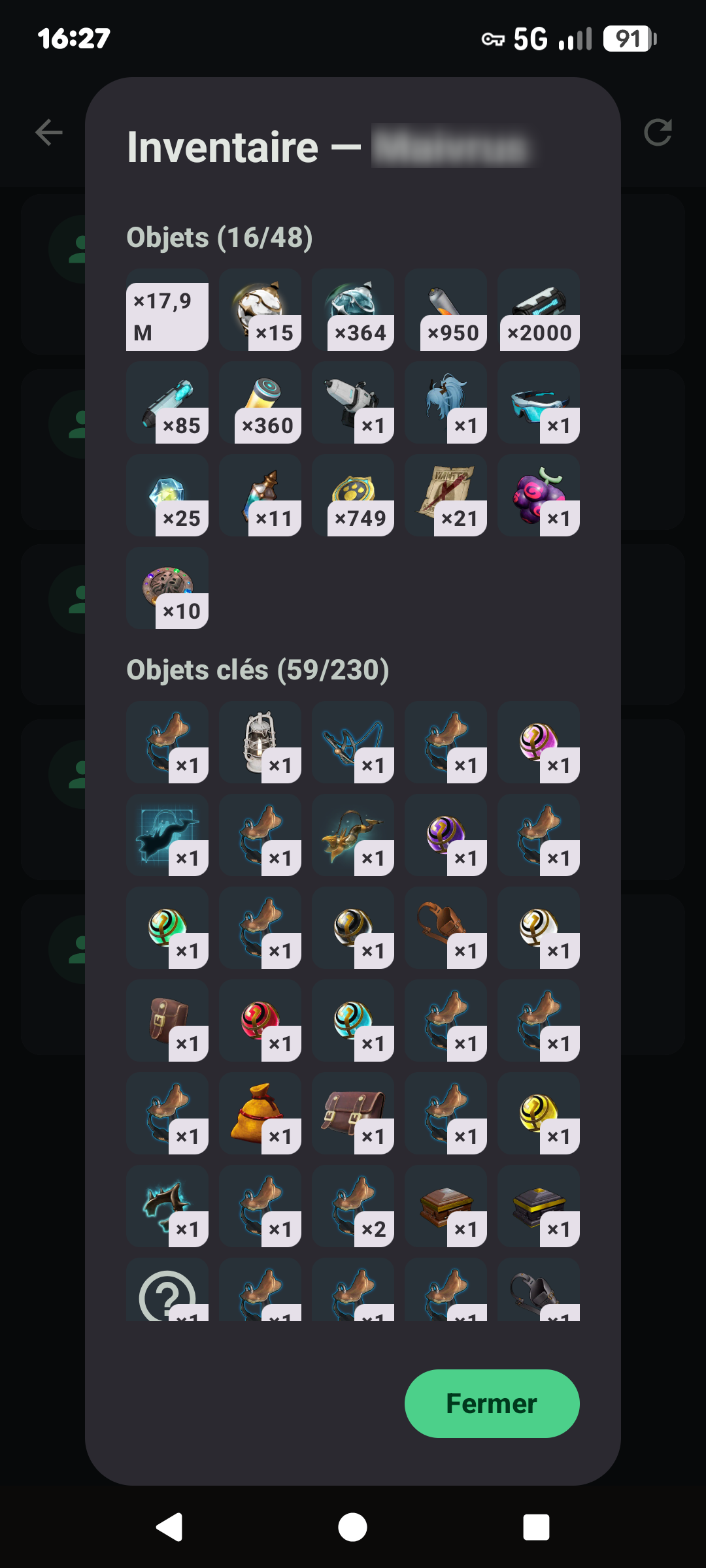 Player inventory